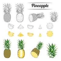 réaliste ananas fruit illustration vecteur