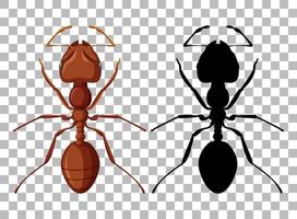ensemble de fourmis isolé vecteur