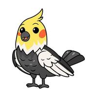 mignonne gris calopsitte oiseau dessin animé vecteur