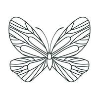 illustration de papillon mignon vecteur