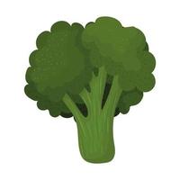 icône de brocoli frais vecteur