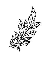 tatouage minimaliste d'une plante sur fond blanc vecteur