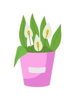 Arrangement de fleurs de lys calla objet vectoriel couleur semi plat