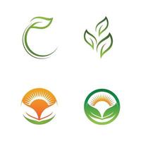 logos de l'écologie des feuilles d'arbre vert vecteur