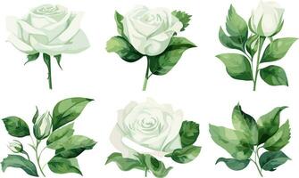 vecteur floral ensemble avec feuilles et fleurs. éléments pour votre compositions, salutation cartes ou mariage invitations.