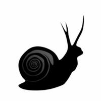 Animé vecteur illustration de une noir escargot animal sur une blanc Contexte