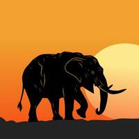 noir l'éléphant vecteur illustration avec le coucher du soleil Contexte