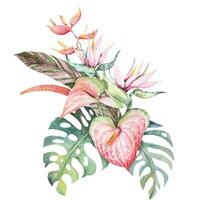 tropical fleur bouquet aquarelle.composition de anthurium, monstera feuilles et oiseau dans paradis fleurs.jungle forêt mariage bouquet.aloha fleur dans main d'été tiré aquarelle. vecteur