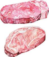 brut du boeuf steak.porc peint avec aquarelle.surlonge brut matériaux pour cuisson.viande steak. vecteur