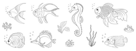 ensemble de différent tropical poisson dans linéaire style. griffonnage illustration de mer animaux. océan habitants et sous-marin végétation. vecteur