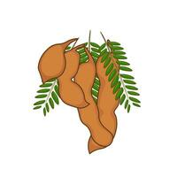 Tamarin fruit dessin animé illustration logo vecteur
