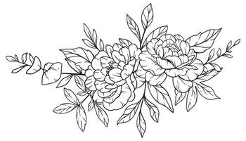 pivoine ligne art, bien ligne pivoine bouquets main tiré illustration. coloration page avec pivoine fleurs. vecteur