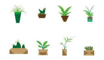 collection de maison plante avec pot, plante pour Accueil décor vecteur illustration ensemble