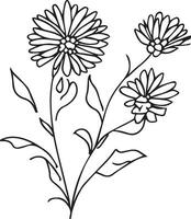 botanique aster fleur mur peint, aster naissance fleur, septembre naissance fleur illustration, isolé sur blanc arrière-plan, réaliste aster fleur dessin vecteur