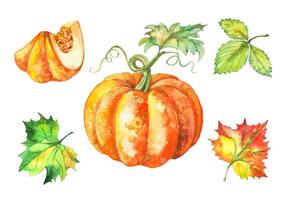 ensemble d'illustrations à l'aquarelle. citrouille et feuilles d'automne. vecteur