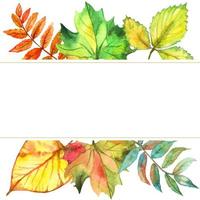 cadre de feuilles d'automne. aquarelle. vecteur. vecteur