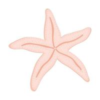 étoile de mer rose isolée