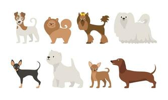 chiens ensemble. vecteur illustration de différent races de adulte chiens dans branché plat style. isolé sur blanche.