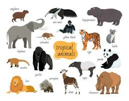tropical animaux ensemble. prédateurs et herbivores faune vecteur animaux isolé sur blanc Contexte. plat dessin animé illustration.