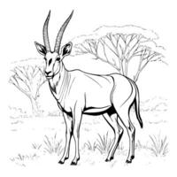 antilope coloration pages pour des gamins vecteur