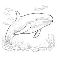 bleu baleine coloration pages dessin pour enfant vecteur