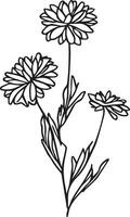 Facile aster fleur tatouage dessin, aster ligne dessin, septembre naissance fleur aster dessin, aster fleurs mur décor, esquisser aster fleur dessin, Facile aster contour vecteur