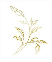 botanique d'or illustration de une feuilles branche pour mariage invitation et cartes, logo conception, la toile, social médias et affiches modèle. élégant minimal style floral vecteur isolé.