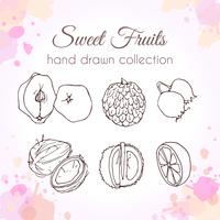 Ensemble de fruits frais dessinés à la main vecteur