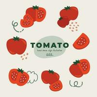 une icône ensemble de mignonne isolé plat minimal motif tomate style doodle conception illustrations. ensemble, moitié, tranche vecteur