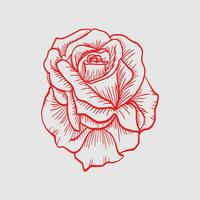 magnifique Rose isolé sur blanc Contexte vecteur