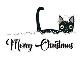 joyeux Noël illustration mignonne chat dessin animé vecteur isolé sur transparent Contexte