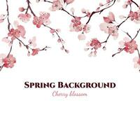 aquarelle Sakura vecteur frontière, Contexte ou bannière conception avec rose Sherry fleurir. ample style printemps épanouissement Cerise arbre fleurs carte ou invitation Contexte.