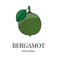 agrumes fruit bergamote, ligne icône dans vecteur à indiquer sur nourriture emballage à propos le présence de cette allergène