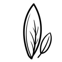 feuille de floral feuilles printemps pour beauté l'image de marque branché contour symboles pour mobile applications et site Internet conception. prime pack de Icônes dans branché ligne style. vecteur