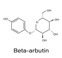 bêta-arbutine plante moléculaire structure vecteur illustration. squelettique formule molécule.