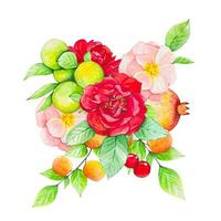 fruit bouquet avec pommes, Grenade, rouge des roses, des oranges, les pêches. aquarelle vecteur
