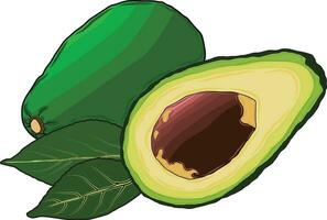 en bonne santé fruit Avocat amené à dessiner pouvez être utilisé pour une variété de applications vecteur