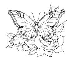 coloration pages pour adultes papillon séance sur Rose vecteur