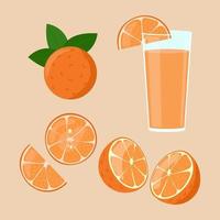 jus d'orange isolé. tranches dans l'ensemble coupé. la moitié des fruits oranges. illustration vectorielle vecteur