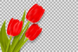 bouquet de rouge tulipes avec espace pour salutation message. vecteur