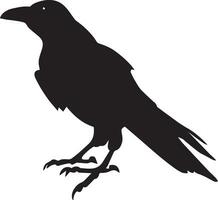 corbeau vecteur silhouette illustration noir Couleur