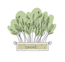 carotte microgreens boîte griffonnage vecteur illustration