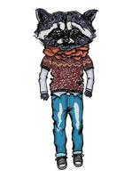 illustration vectorielle colorée de raton laveur portant des vêtements décontractés. animaux hipsters. vecteur