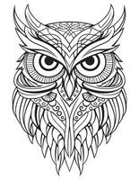 hibou oiseau coloration livre pour adultes vecteur, numérique mandala illustration de hibou, blanc arrière-plan, nettoyer ligne art, tatouage et impression conception vecteur