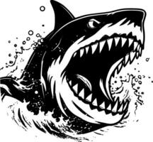 requin, noir et blanc vecteur illustration