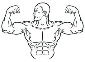 esquisser bodybuilder fléchissement volumineux bras muscles vecteur