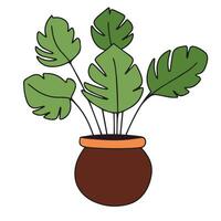maison plante dans pot coloré contour. main tiré Accueil plante décor dans griffonnage style. vecteur illustration.