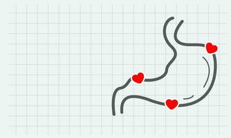 en bonne santé estomac. représenté avec estomac contour et l'amour symbole avec cœur. vecteur