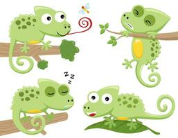 vecteur ensemble de mignonne caméléon dessin animé dans Activités