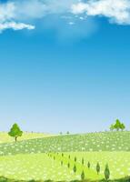 printemps arrière-plan, montagne paysage avec Marguerite fleurs champ, bleu ciel, nuages, panorama été rural la nature dans avec vert herbe terre sur colline.cartoon vecteur illustration toile de fond pour la nature bannière